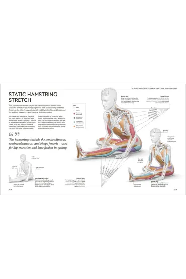 Science of Cycling - Bailey David