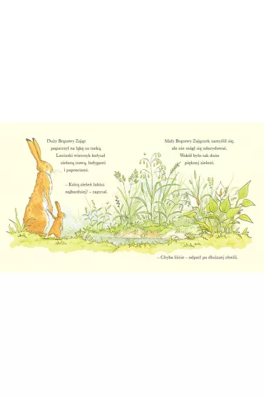 Nawet nie wiesz, jak bardzo ci� kocham kiedy jest lato - Sam McBratney, Anita  Jeram