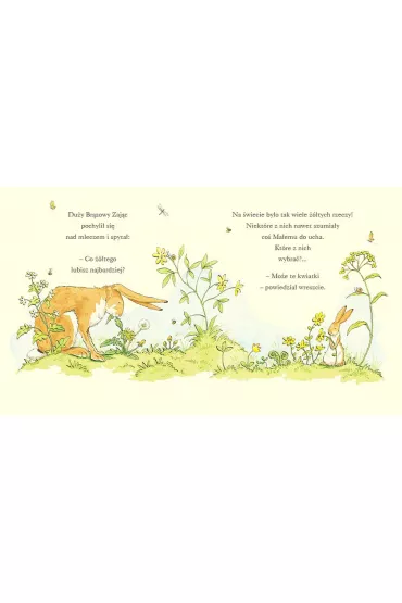 Nawet nie wiesz, jak bardzo ci� kocham kiedy jest lato - Sam McBratney, Anita  Jeram