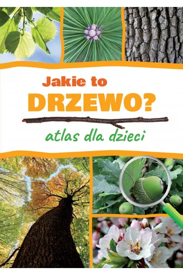 Jakie to drzewo? Atlas dla dzieci