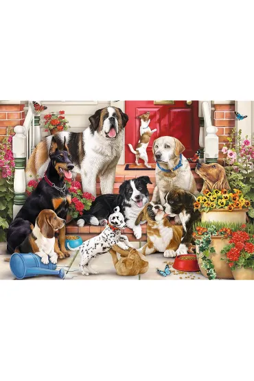 Puzzle Hidden Shapes 1043 el. Psia zabawa Trefl