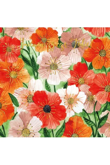 Karnet Kwiaty berberysy 155x155 mm