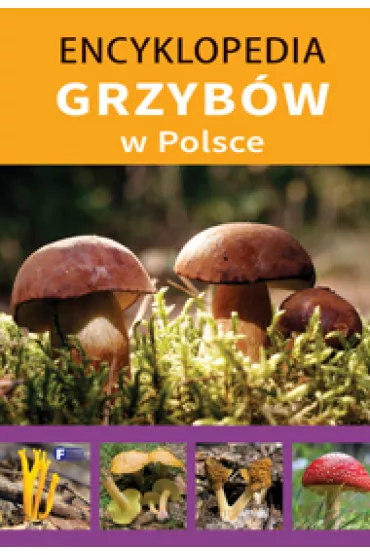 Encyklopedia grzyb�w w Polsce