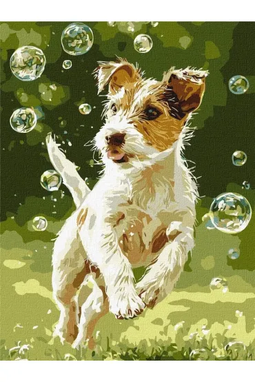 Ideyka Malowanie po numerach - Chwy� b�bel! 30x40cm