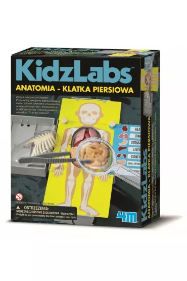 Anatomia - Klatka piersiowa 4M