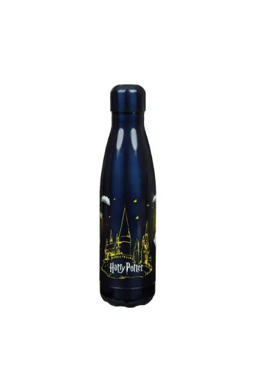 Cass film Butelka Termiczna Harry Potter 500 ml