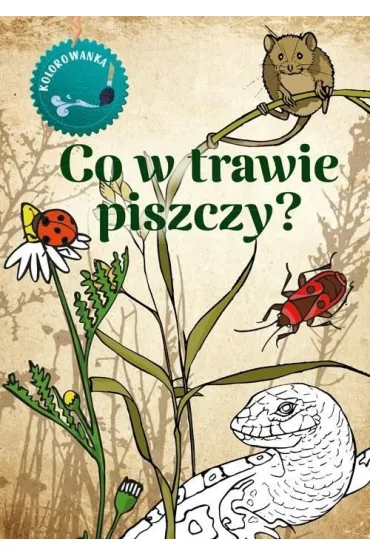 Co w trawie piszczy. Kolorowanka - Katarzyna Kopiec-Sekieta