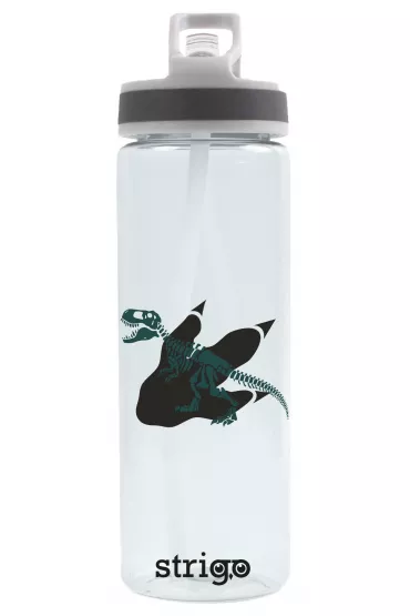 Strigo Bidon z serii Dinozaur 600 ml