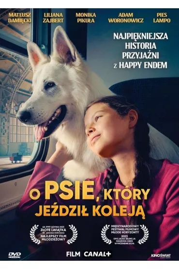 O psie, kt�ry je�dzi� kolej� DVD - Magdalena  Niec