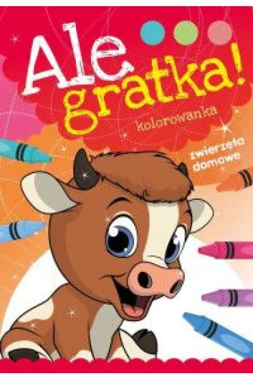 Ale gratka! Zwierz�ta Domowe