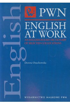 English at Work an English Polish Dictionary