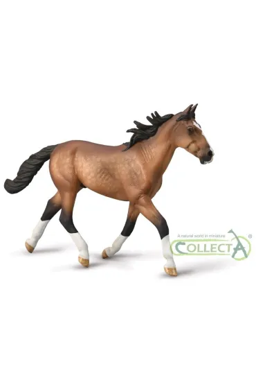 Ogier Standardbred Pacer ma�ci gniadej