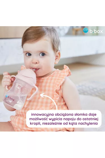 b.box Bidon ze somk, rowy 240 ml