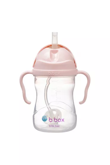 b.box Bidon ze somk, rowy 240 ml