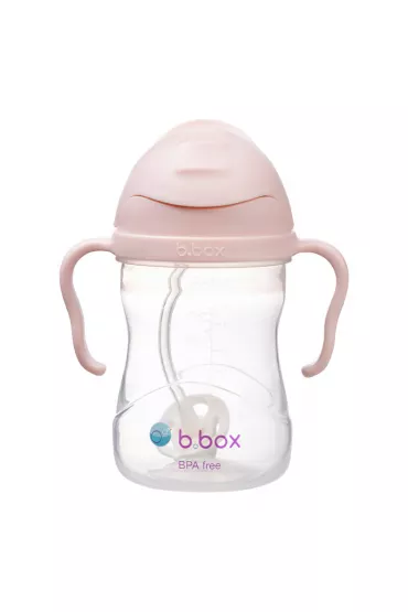 b.box Bidon ze somk, rowy 240 ml