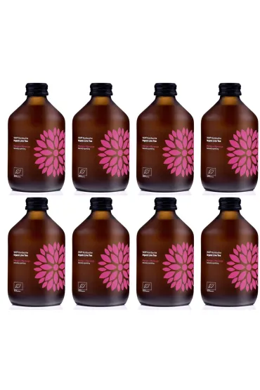 Vigo Yoko Kombucha z mango i marakuj� bezglutenowa Zestaw 8 x 330 ml Bio
