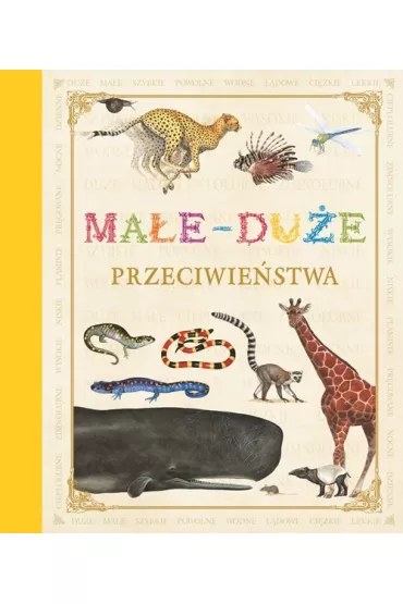 Ma�e du�e przeciwie�stwa