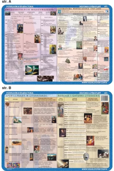 Visual System Podk�adka edukacyjna. Literatura. Wsp�czesno��