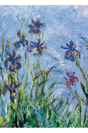 Puzzle 1000 el. Irises by Monet. Detail Eurographics