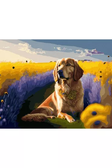Twoje Hobby Malowanie po numerach + z�ota farba - Z�oty pies.. 40x50cm