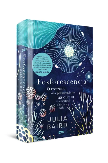 Fosforescencja. O rzeczach, kt�re podtrzymuj� nas na duchu w mrocznych chwilach �ycia - Filip  Gody�, Julia  Baird