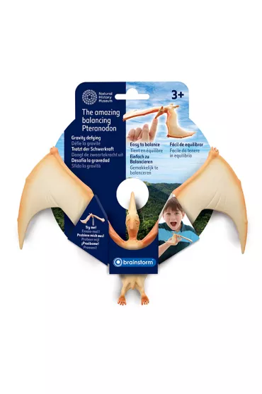 Balansuj�cy pteranodon