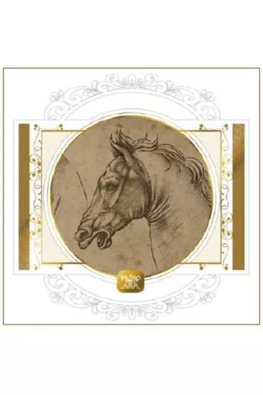 DaVinci Karnet + koperta Ko� szkic 16 x 16 cm