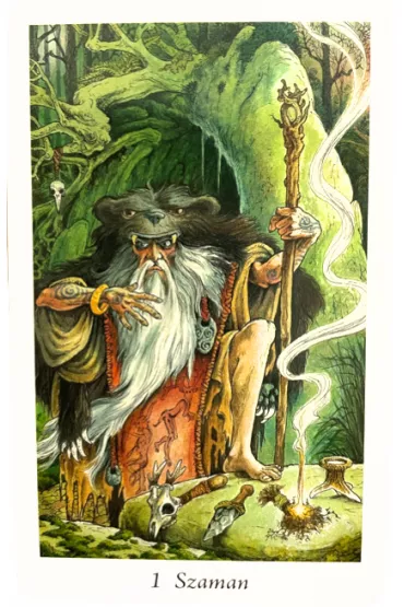 Tarot Pradawnego Lasu. Zestaw karty + ksi��ka - John Matthews, Mark Ryan