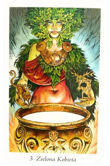 Tarot Pradawnego Lasu. Zestaw karty + ksi��ka - John Matthews, Mark Ryan