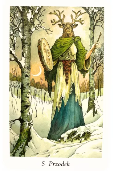 Tarot Pradawnego Lasu. Zestaw karty + ksi��ka - John Matthews, Mark Ryan