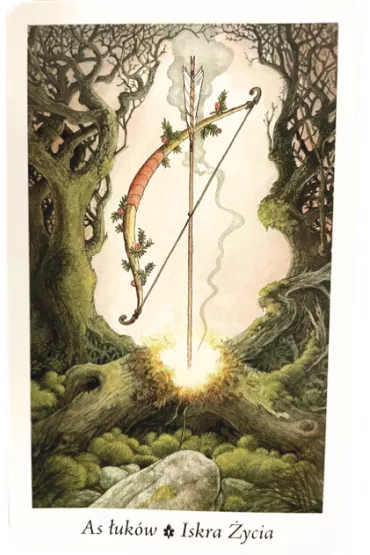Tarot Pradawnego Lasu. Zestaw karty + ksi��ka - John Matthews, Mark Ryan