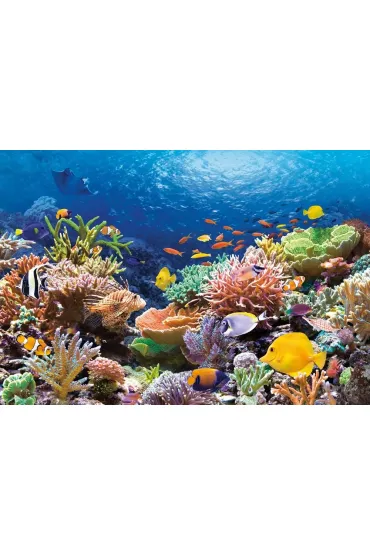 Puzzle 1000 el. Rafa koralowa Castorland