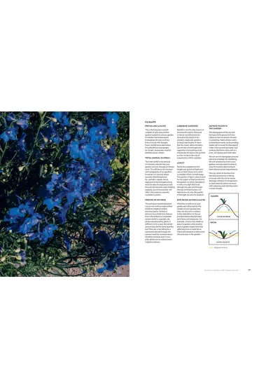 Flower Power - Jac Semmler