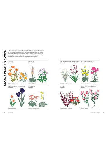 Flower Power - Jac Semmler