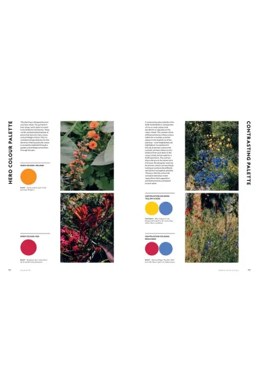 Flower Power - Jac Semmler