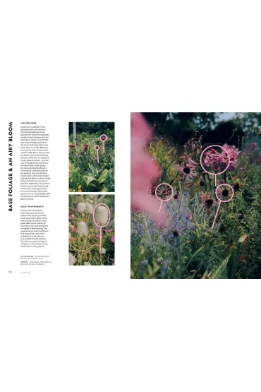 Flower Power - Jac Semmler