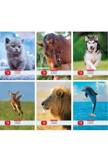 Herlitz Zeszyt A5 Animals kratka 16 kartek