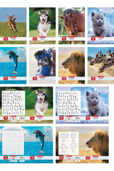 Herlitz Zeszyt A5 Animals kratka 16 kartek