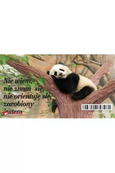 Bogulandia Magnes na lod�wk� - NIe wiem nie znam si�, nie orientuj� si�, zarobiony jestem