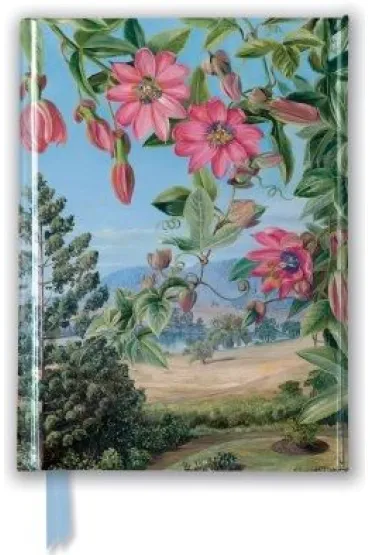 Flame Tree Notatnik A6 Widok w ogrodzie Brisbane Kew linia
