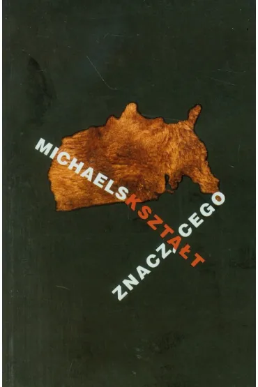 Kszta�t znacz�cego - Walter Michaels Benn