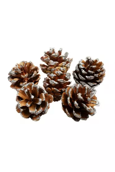 Arpex Ozdoba �wi�teczna szyszki z brokatem