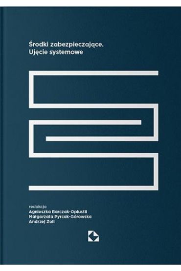 Środki zabezpieczające. Ujęcie systemowe