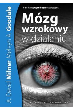 M�zg wzrokowy w dzia�aniu - Grzegorz Kr�liczak - Grzegorz Kr�liczak
