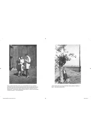 Kamienie na szaniec - Aleksander Kamiski