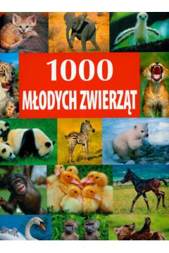 1000 m�odych zwierz�t - praca zbiorowa