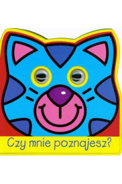 Czy mnie poznajesz? Kot - praca zbiorowa