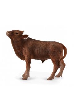 Krowa Ankole-Watusi Calf