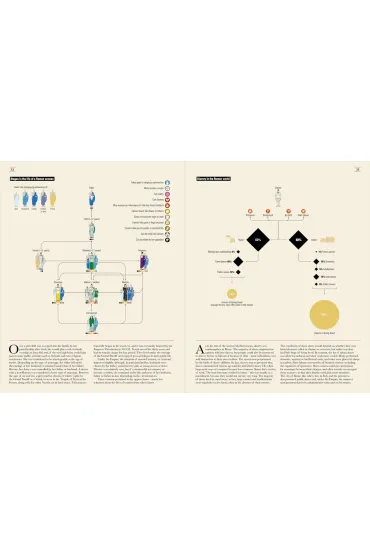 Ancient Rome. Infographics - Philip Matyszak