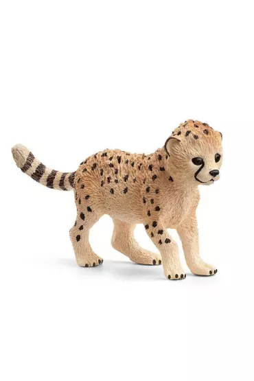 M�ody Gepard